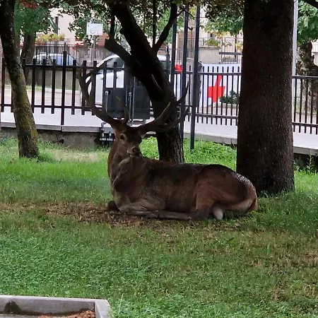 Casa vacanze Respirodabruzzo *