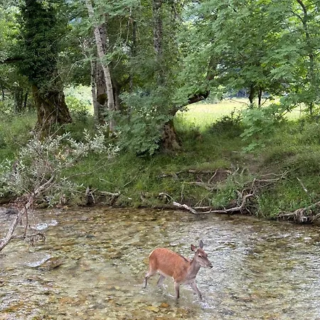 Respirodabruzzo Casa vacanze Villetta Barrea