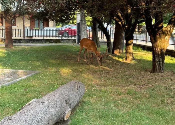 Casa vacanze Respirodabruzzo Villetta Barrea