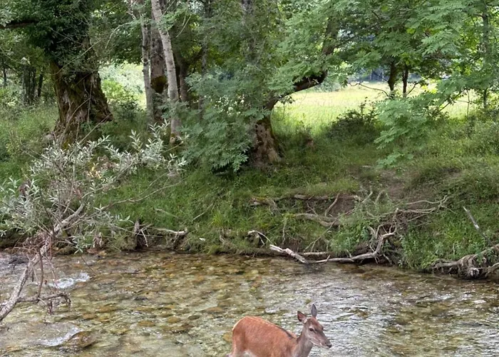 Respirodabruzzo Casa vacanze Villetta Barrea